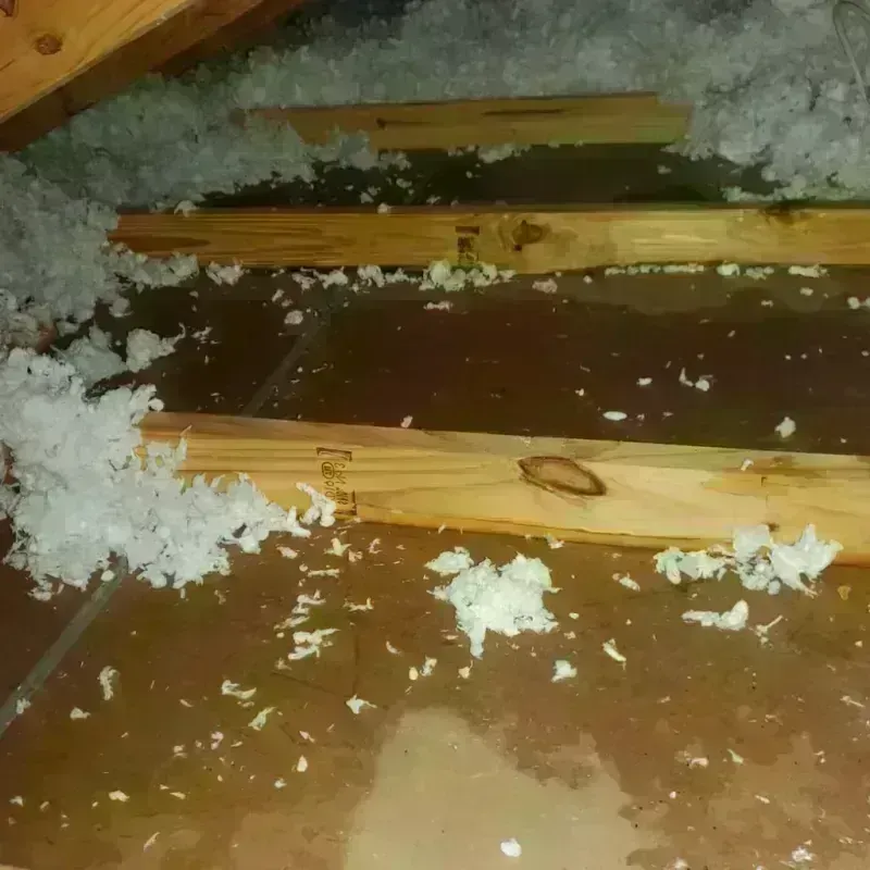 Attic Water Damage in Box Elder, SD