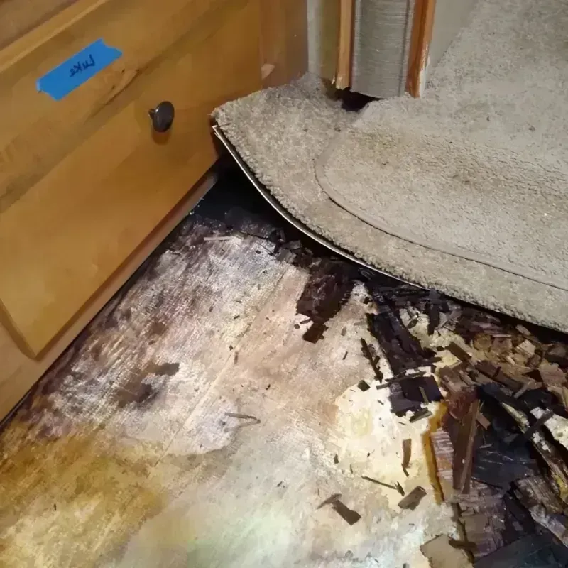 Best Wood Floor Water Damage Service in Box Elder, SD